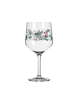 RITZENHOFF | Gin Glas 2-er Set SCHATTENFAUNA #5 #6 | 